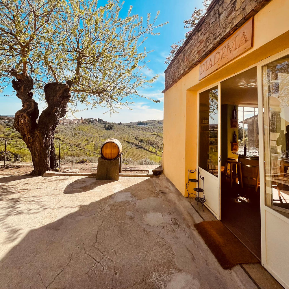 multimedia collage image