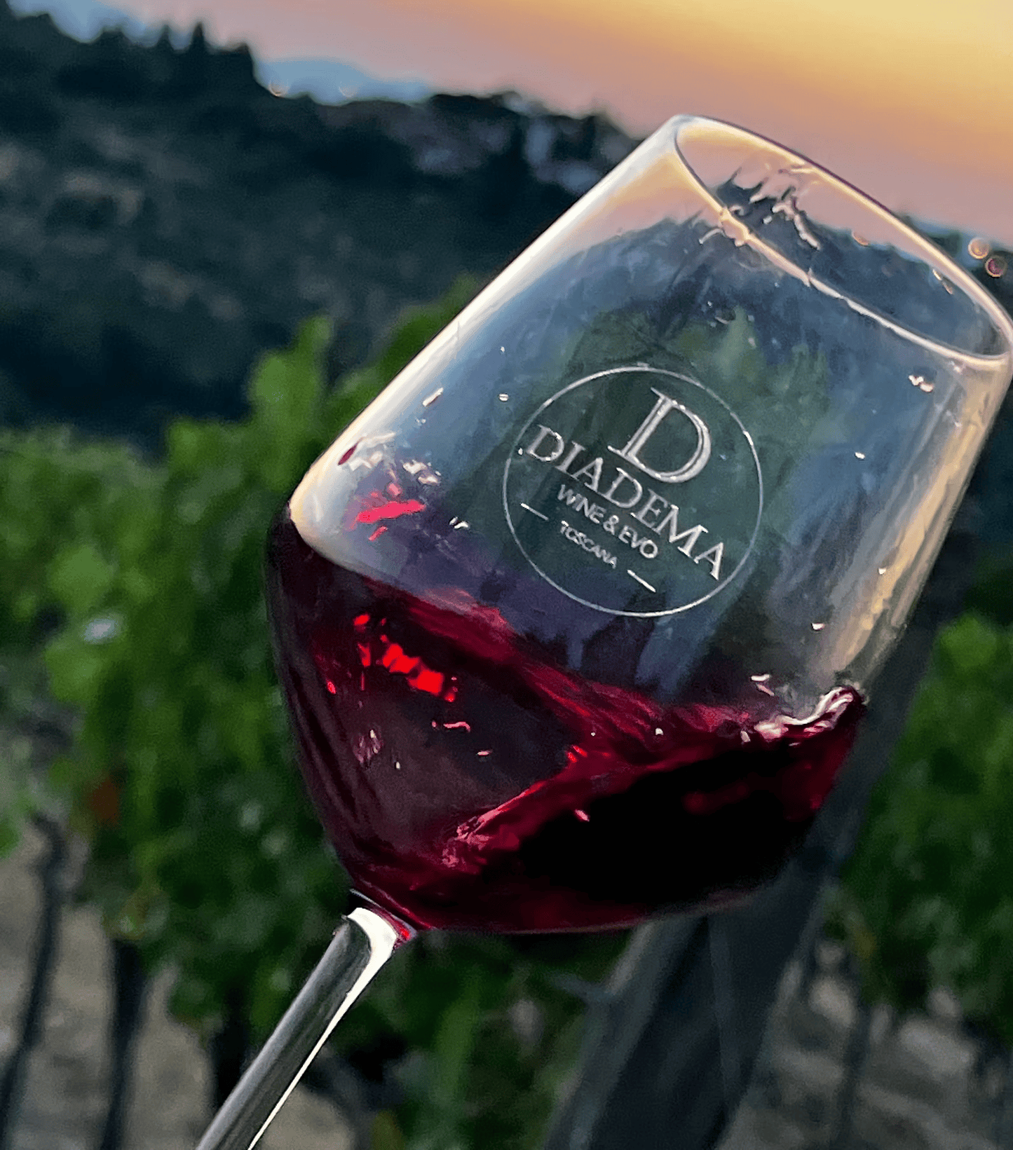 Wine Tasting 6 pm